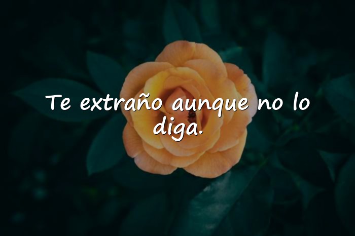 Imágenes frases te extraño - 5
