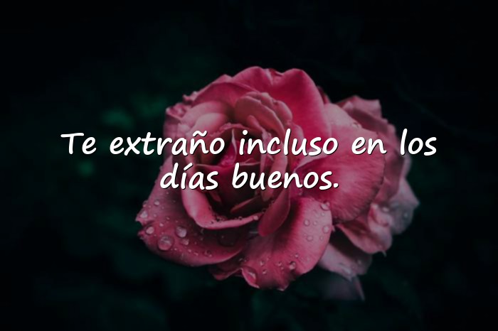Imágenes frases te extraño - 21