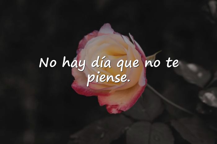Imágenes frases te extraño - 16