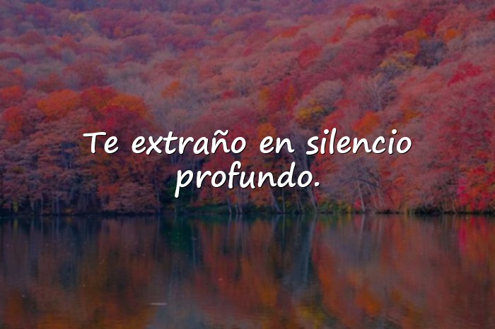 Imágenes frases te extraño - 11