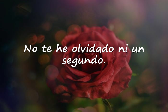 Imágenes frases te extraño - 6