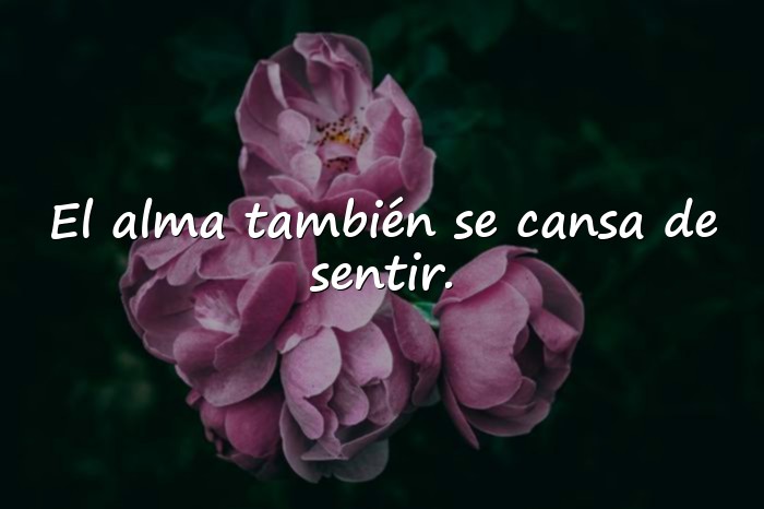 Imágenes frases tristes - 12