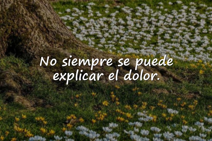 Imágenes frases tristes - 3