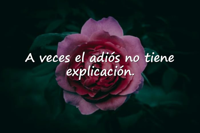 Imágenes frases tristes - 14