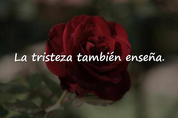Imágenes frases tristes - 10