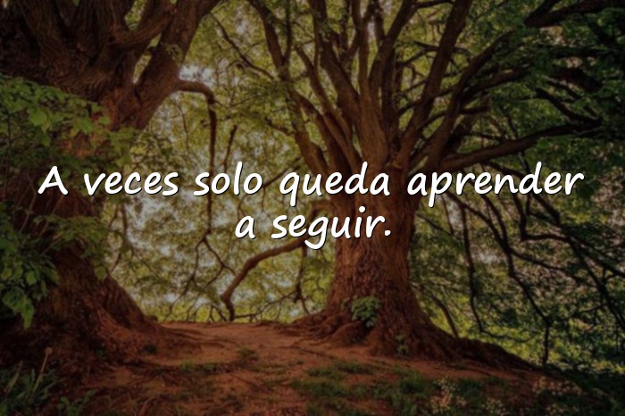 Imágenes frases tristes - 1