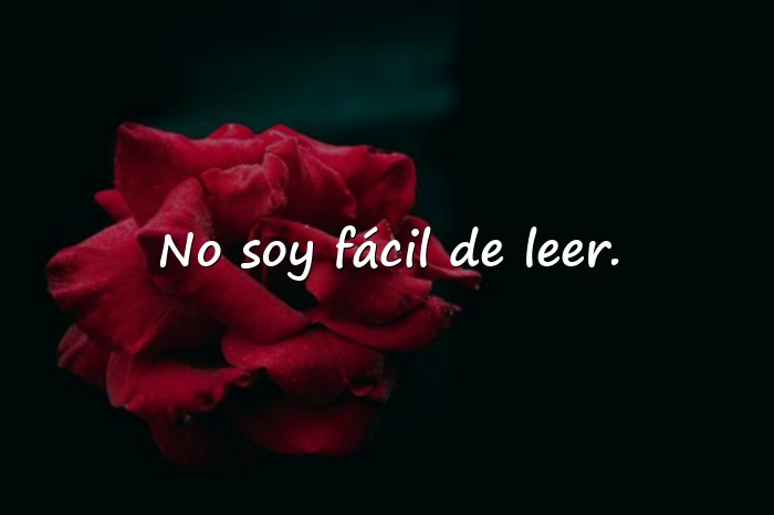 Imágenes frases tumblr - 6