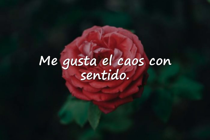 Imágenes frases tumblr - 1