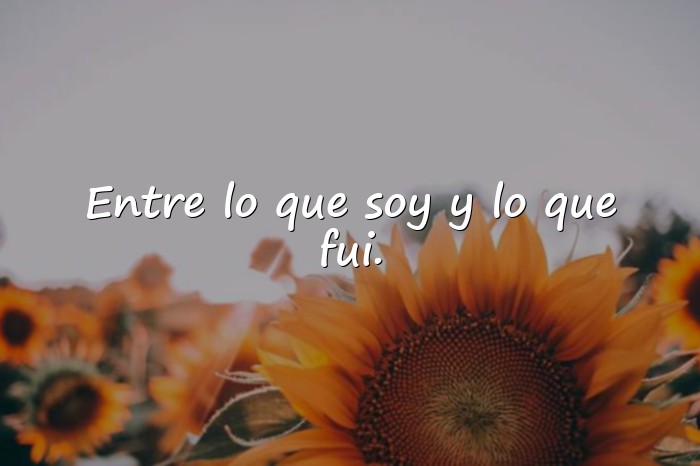 Imágenes frases tumblr - 16