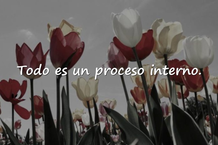 Imágenes frases tumblr - 11