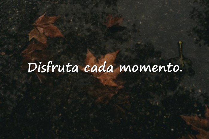 Imágenes frases vida - 7