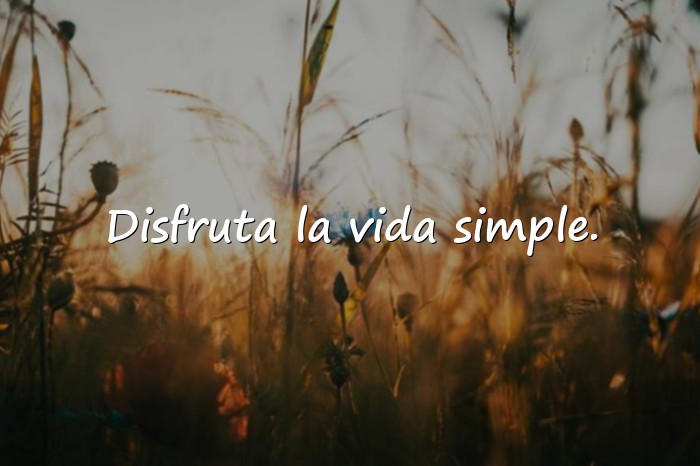 Imágenes frases vida - 25