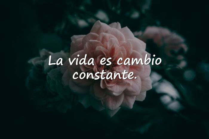 Imágenes frases vida - 21