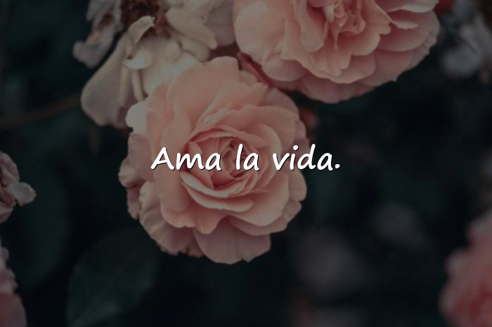 Imágenes frases vida - 18