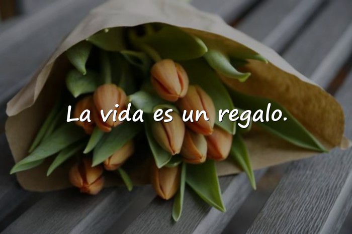 Imágenes frases vida - 14