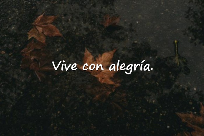 Imágenes frases vida - 10