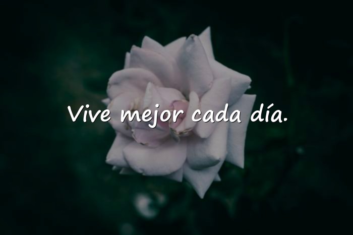 Imágenes frases vida - 1