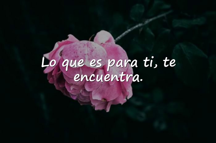 Imágenes frases y reflexiones - 19