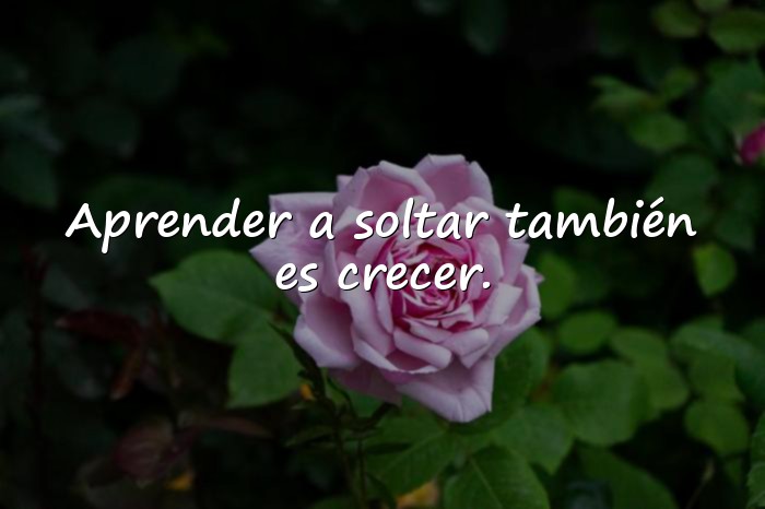 Imágenes frases y reflexiones - 14