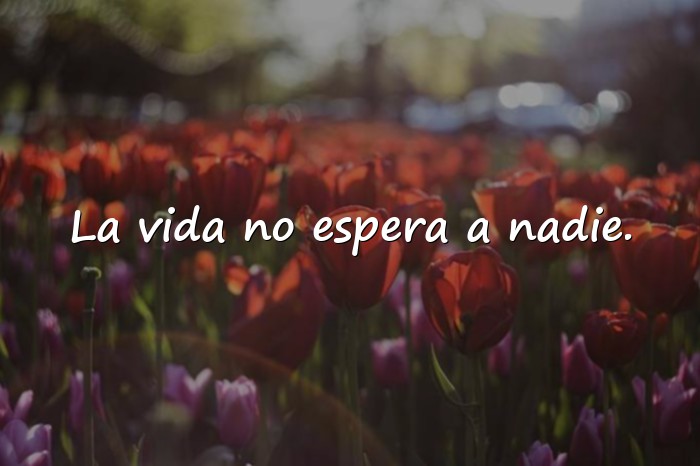 Imágenes frases y reflexiones - 4