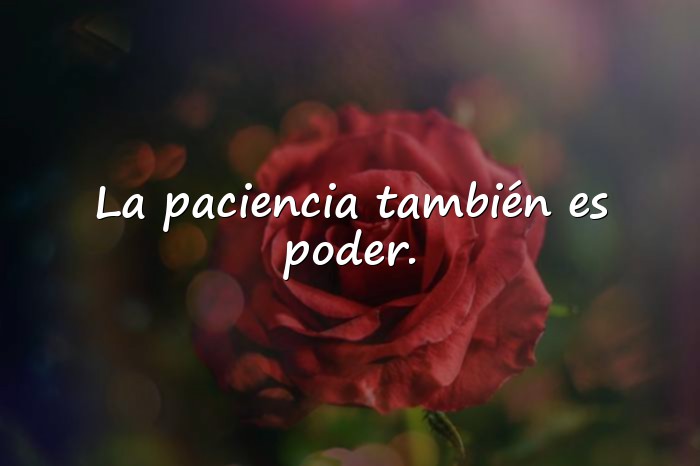 Imágenes frases y reflexiones - 25