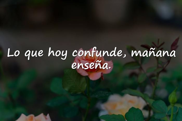 Imágenes frases y reflexiones - 21
