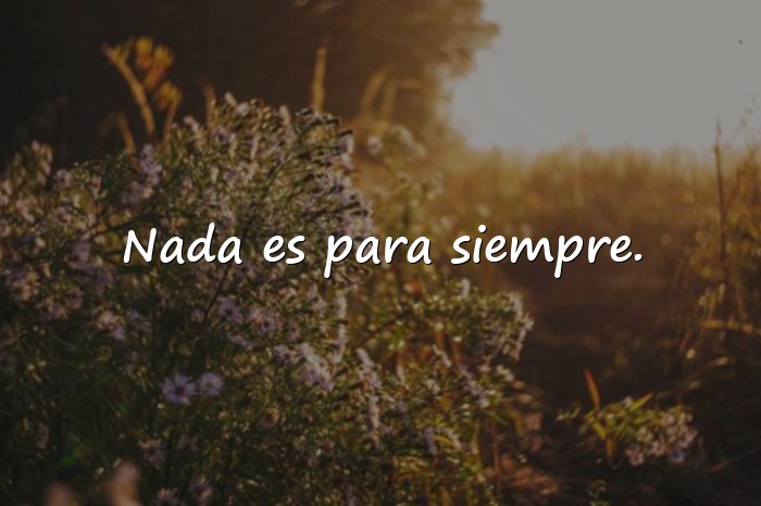 Imágenes frases y reflexiones - 11