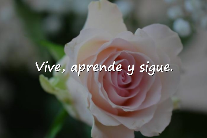Imágenes frases y reflexiones - 1