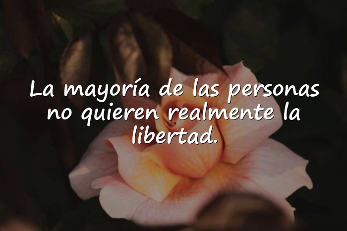 Imágenes freud frases - 22