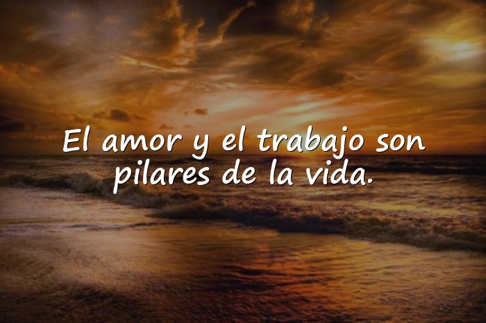 Imágenes freud frases - 17