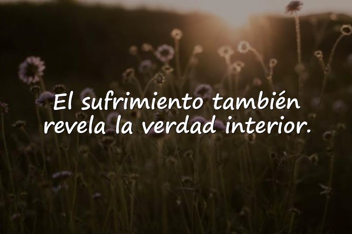 Imágenes freud frases - 12