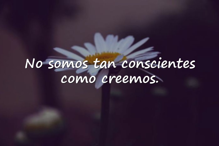Imágenes freud frases - 7