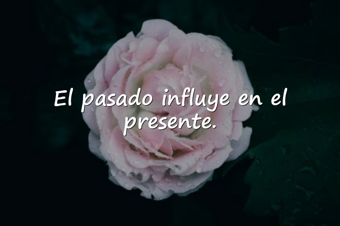 Imágenes freud frases - 2