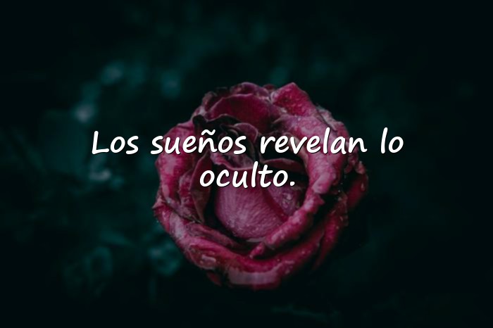 Imágenes freud frases - 22