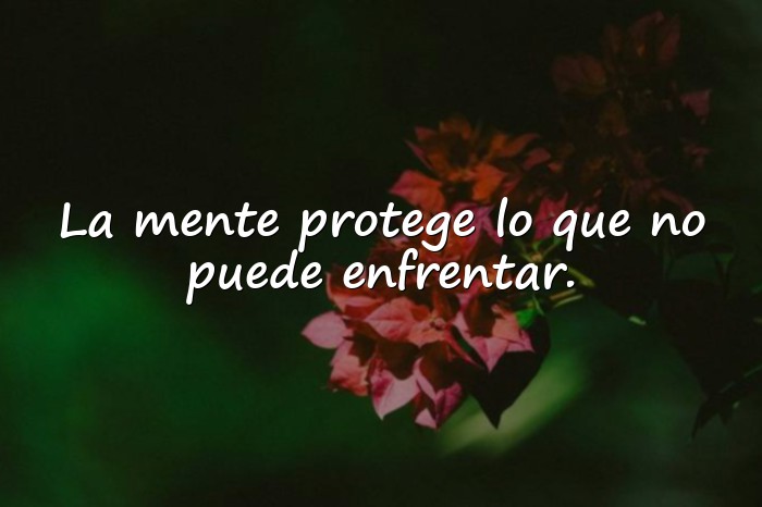 Imágenes freud frases - 17