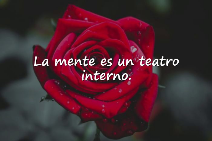 Imágenes freud frases - 7