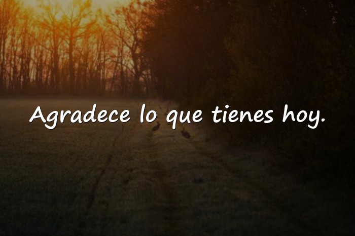 Imágenes gratitud frases - 21