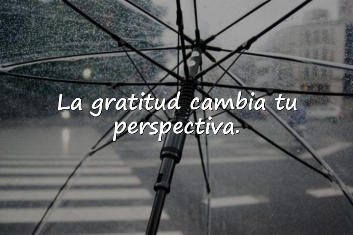 Imágenes gratitud frases - 16