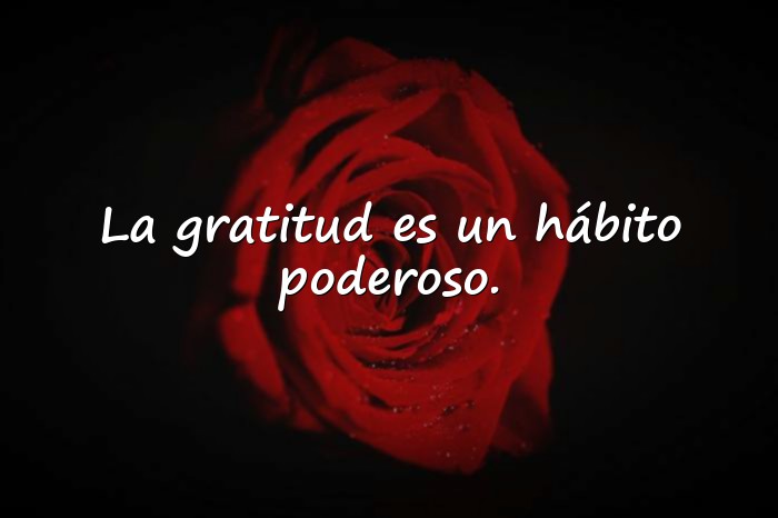 Imágenes gratitud frases - 11