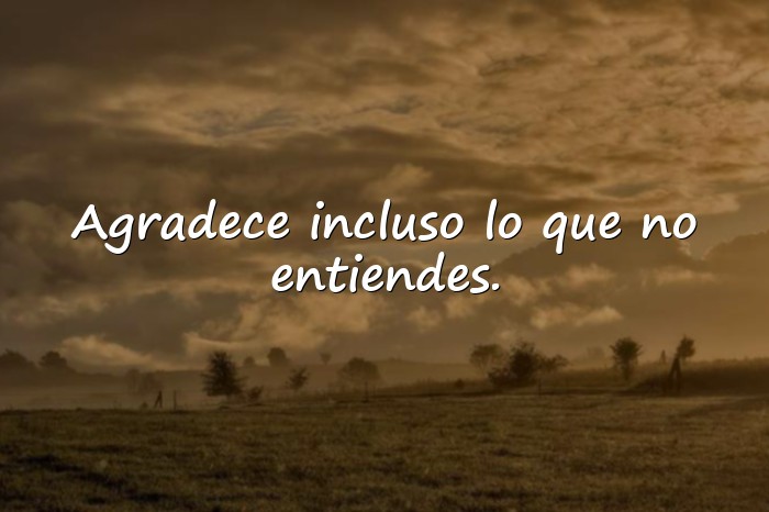 Imágenes gratitud frases - 6