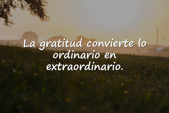 Imágenes gratitud frases - 1