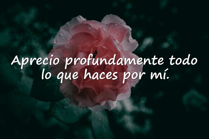 Imágenes mensaje de agradecimiento - 20