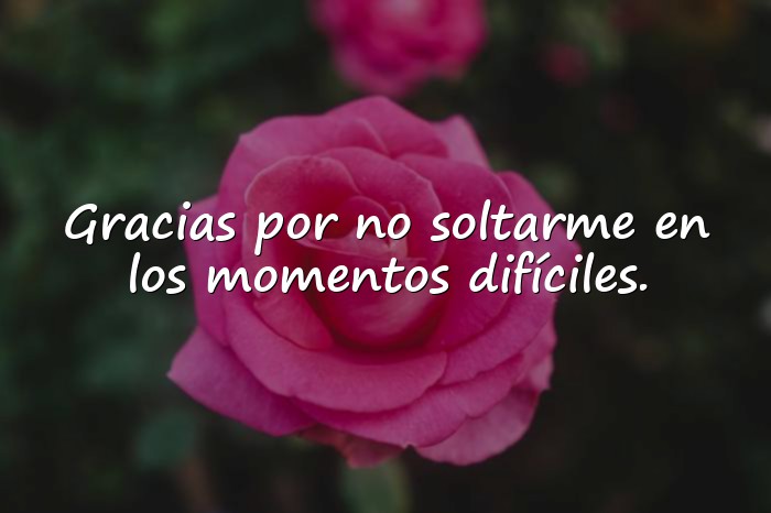 Imágenes mensaje de agradecimiento - 15