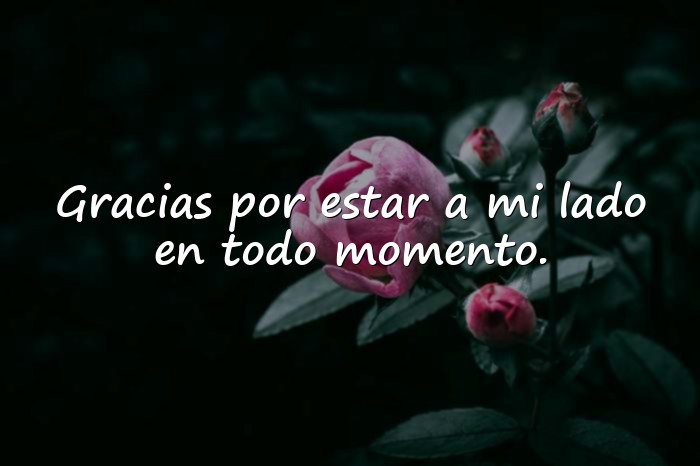 Imágenes mensaje de agradecimiento - 6