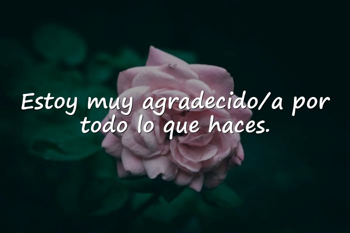 Imágenes mensaje de agradecimiento - 1