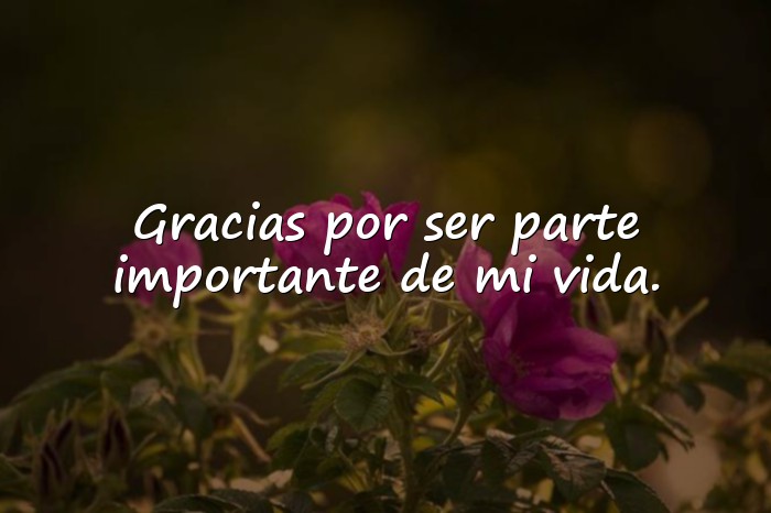 Imágenes mensaje de agradecimiento - 21