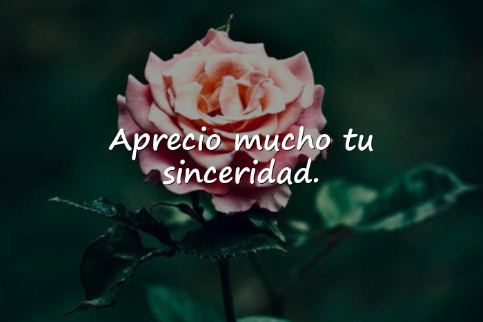 Imágenes mensaje de agradecimiento - 16