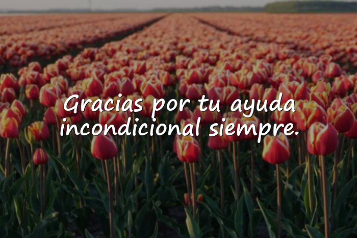 Imágenes mensaje de agradecimiento - 11