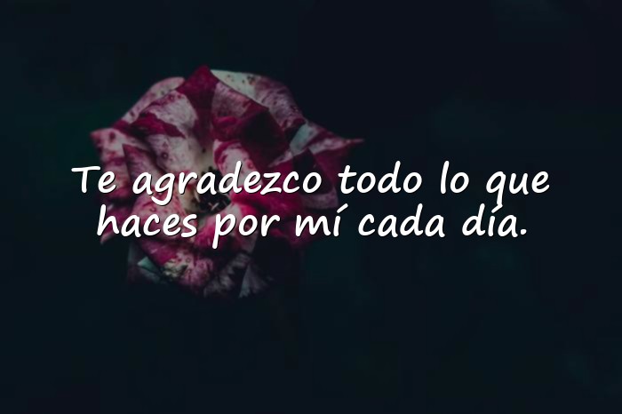 Imágenes mensaje de agradecimiento - 6