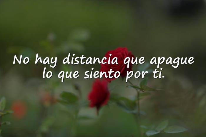 Imágenes mensaje de amor para mi novia - 5